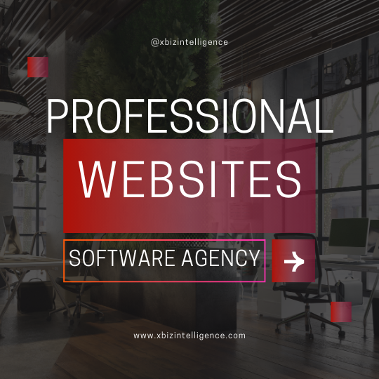 Software Agency Website